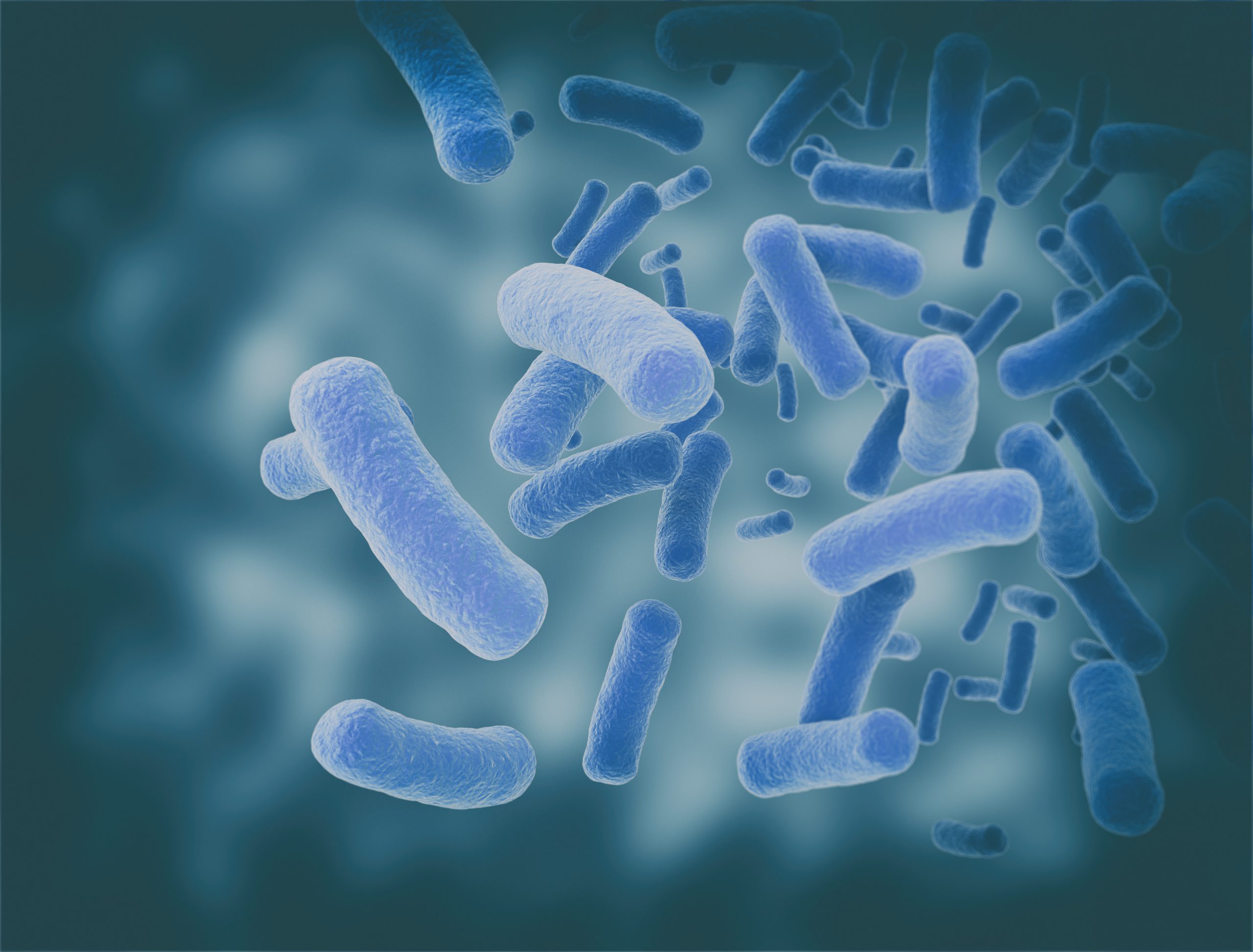 Bacillus subtilis - chế phẩm sinh học người nuôi thủy sản nên dùng 1 lần