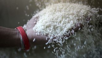 Bangladesh Mua Gạo Ấn Độ, Brazil Nhập Khẩu Sữa Tăng Cao