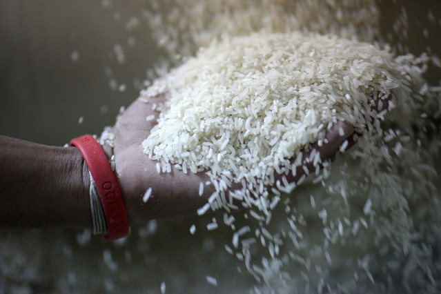 Bangladesh Mua Gạo Ấn Độ, Brazil Nhập Khẩu Sữa Tăng Cao