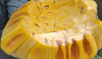 Mít Thái Ở Tiền Giang Cho Năng Suất Cao, Được Giá Dịp Đầu Năm Mới