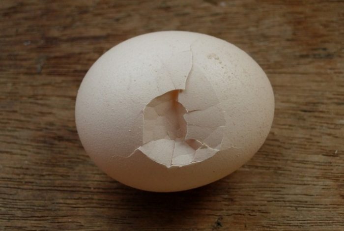 Những điều cần lưu ý để đảm bảo vỏ trứng gà không bị mỏng, dễ nứt