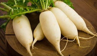 Quy trình kỹ thuật trồng và chăm sóc củ cải trắng sao cho hiệu quả nhất