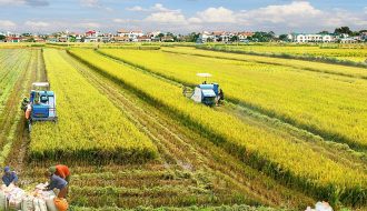 Quảng Trị làm nông nghiệp theo hướng công nghiệp cao như thế nào