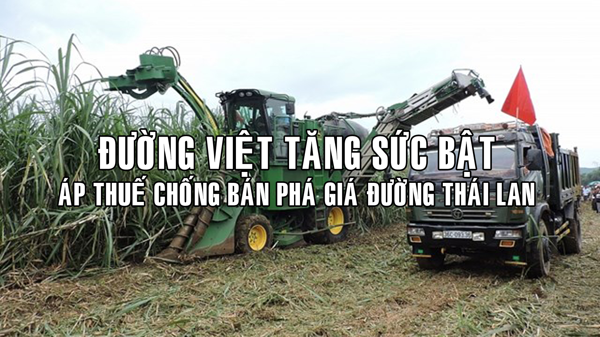 Thái phản đối Việt áp thuế chống bán phá giá đường