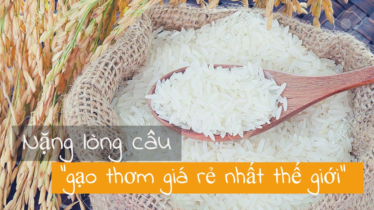 Tin gạo đặc sản Campuchia 'bị pha trộn' với gạo Việt Nam là tin giả