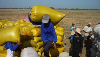 Vương quốc gạo Thái Lan đặt mục tiêu xuất khẩu gạo trong năm 2021