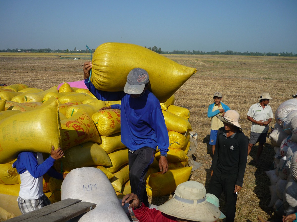Vương quốc gạo Thái Lan đặt mục tiêu xuất khẩu gạo trong năm 2021